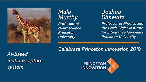 AI-based motion-capture system for lab animals