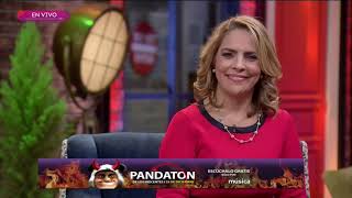 El Panda Zambrano Nos Cuenta Del Pandatón Sale El Sol