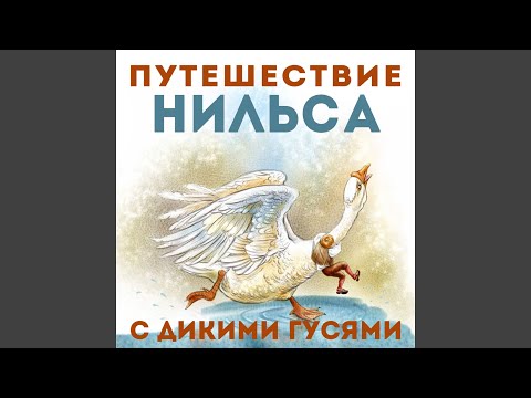 Евгений Весник - Нильс открывает кувшин
