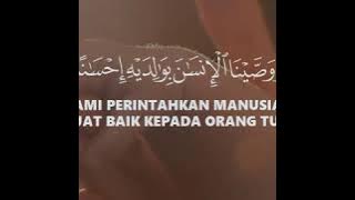 AYAT PERINTAH UNTUK BERBAKTI KEPADA KEDUA ORANG TUA | RECITER : FADLI ABDULLAH