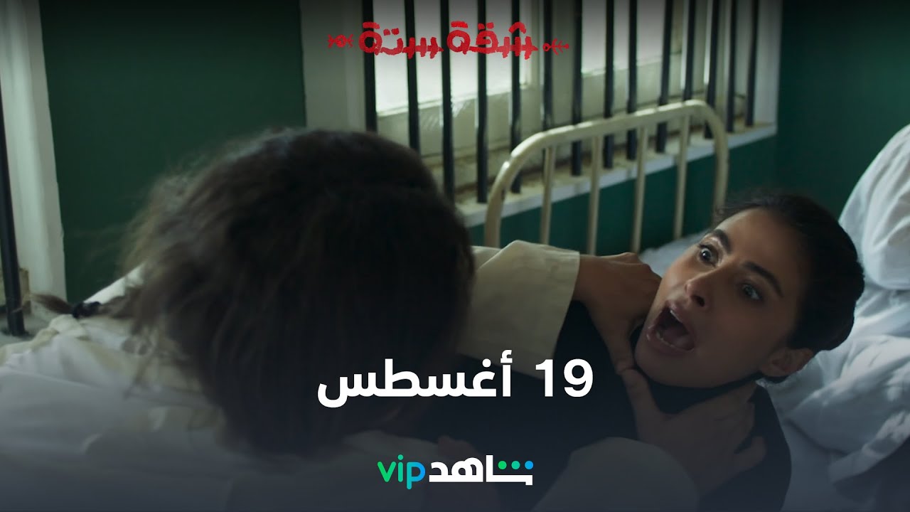 مسلسل شقة سته