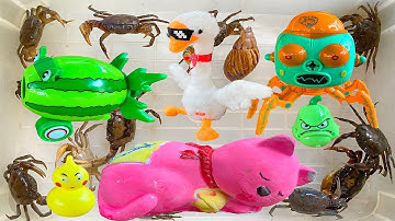 Kem Ốc Chanel cứu con mèo, con cua, con cá, ốc sên, con vịt, bị Zombie quái vật, dưa hấu zombie bắt