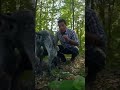 Gino’s Big Discovery! #discovery #dog #ginodacampo