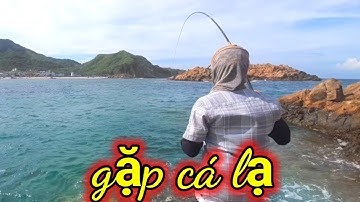 VUONG LT VLOG | câu cá biển | trải nghiệm câu cá _ nấu ăn trên đảo Hòn khô,Nhơn Hải cùng anh,chị.