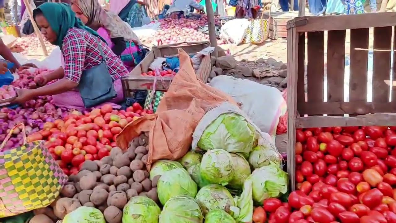 ወግዲ ሀብሀብ አለ ወይ ለምትሉ👂👈