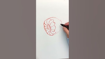 How to draw a raspberry #shortvideo #sketch #raspberry #fruit