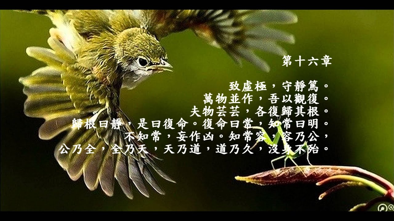 老子道德經朗誦及註解16 Youtube