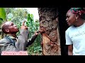 Mama Hataki Niowe Alicia Kanini Kwelikweli ЁЯШБЁЯШБЁЯШБ Luhya Alicia Kanini Trendingvideo Sulwefm Mama Hataki Niowe Alicia Kanini Kwelikweli ЁЯШБЁЯШБЁЯШБ Luhya Alicia Kanini Trendingvideo Sulwefm