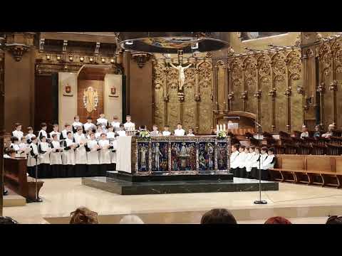 Boy&#039;s Choir, Montserrat Monastery