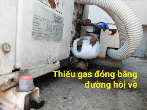 Máy lạnh TRANE thiếu gas, đóng băng đường hồi