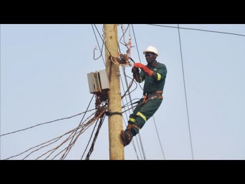 UMEME Ready To Buy Utility Poles From Local Tree Farmers