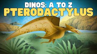 dinos z pterodactylus learn this iconic pterodactyl