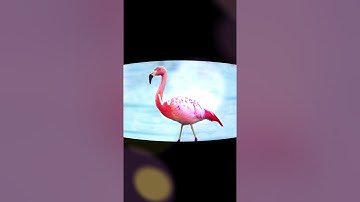 TCL 10 SE Unlocked Android Smartphone, 6.52" V-Notch Display