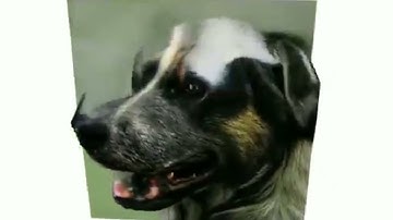 Synthesizing High-resolution 3D image using Artificial intelligence | AI | innovation