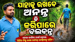 𓆉🐢 🐢 ଜଙ୍ଗଲ ରେ ଡ୍ୟୁଟି କରିବା ବେଳେ ଗୋଟେ କଇଁଛ ପାଇଲୁ👌/forest watcher duty vlog//turtle vlog //jungle vlog