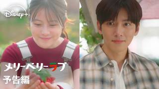 『メリーベリーラブ』|予告編|チ・チャンウク×今田美桜W主演!「愛の不時着」のCJ ENMによる日韓共同プロジェクトで贈る国境を越えたロマンティック・ラブコメディ|Disney+ (ディズニープラス)