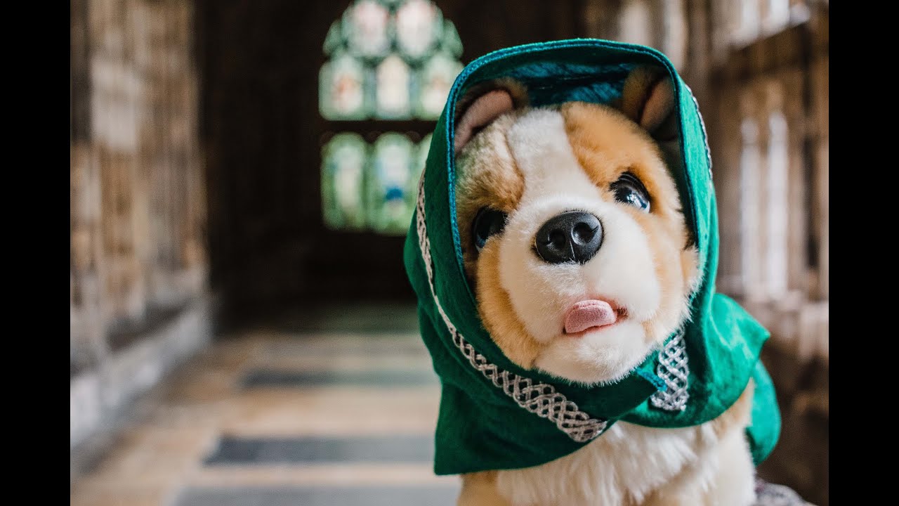 Cathedral Corgi Trail: Abbess Kynebarker