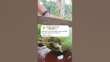 Part2 What do you hate about your partner, but can