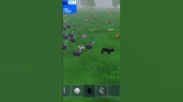 Pursuit (Multi block edit)