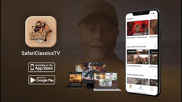 🔥 Nieuwe app. Nieuwe content. Non-stop Safari-actie!🔥