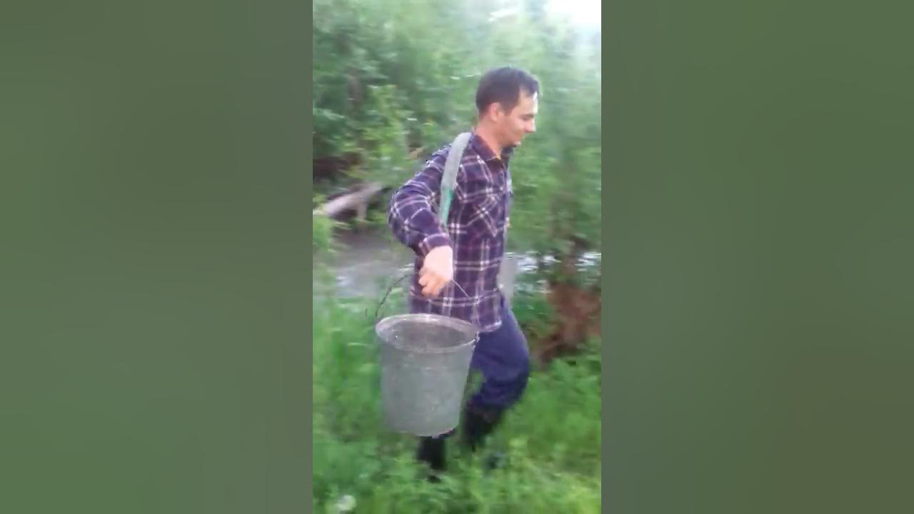 Видео ведро воды. Коромысло с ведрами. Носить воду коромыслом. Калдыр с вёдрами воду таскает. Расписные ведра с коромыслом.