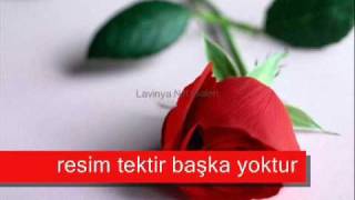 Selçuk Küpçük Monaroza
