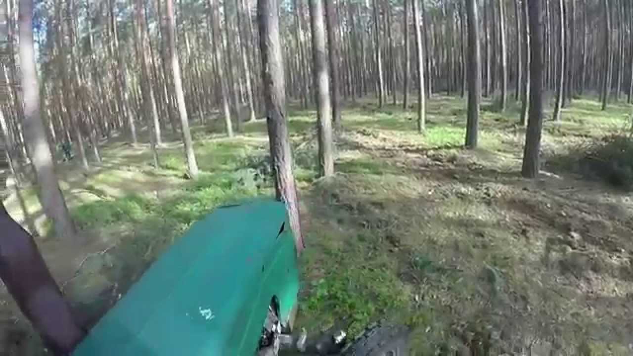 Trzebież - zrywka drewna