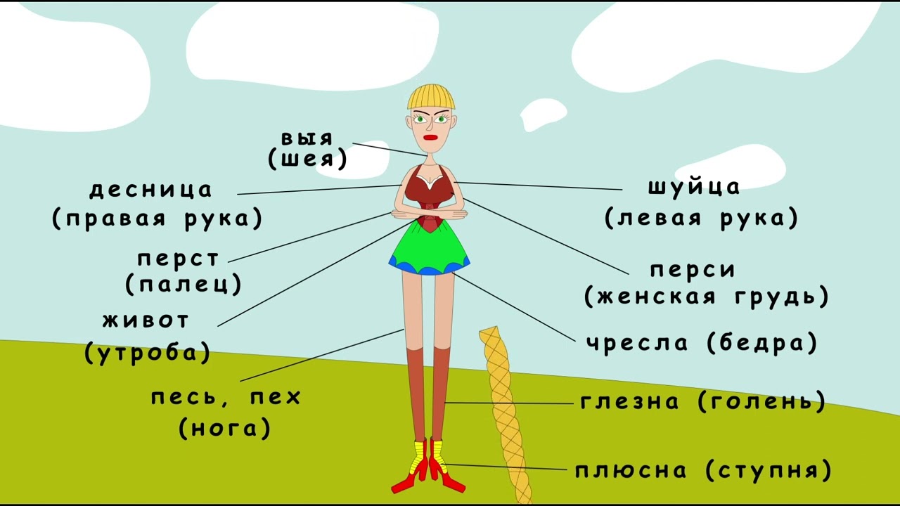 Десница и шуйца. Части тела на русском. Части тела на устаревшем языке. Перси ланиты чресла.