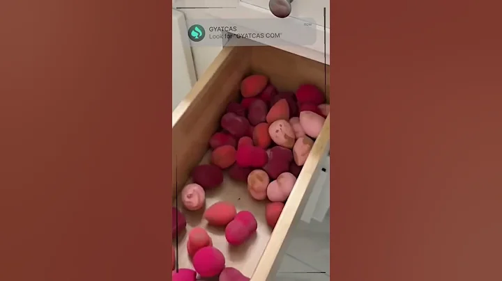 Rainbow Clad Trans Activists Won't Stop Yelling Nonsense at Me