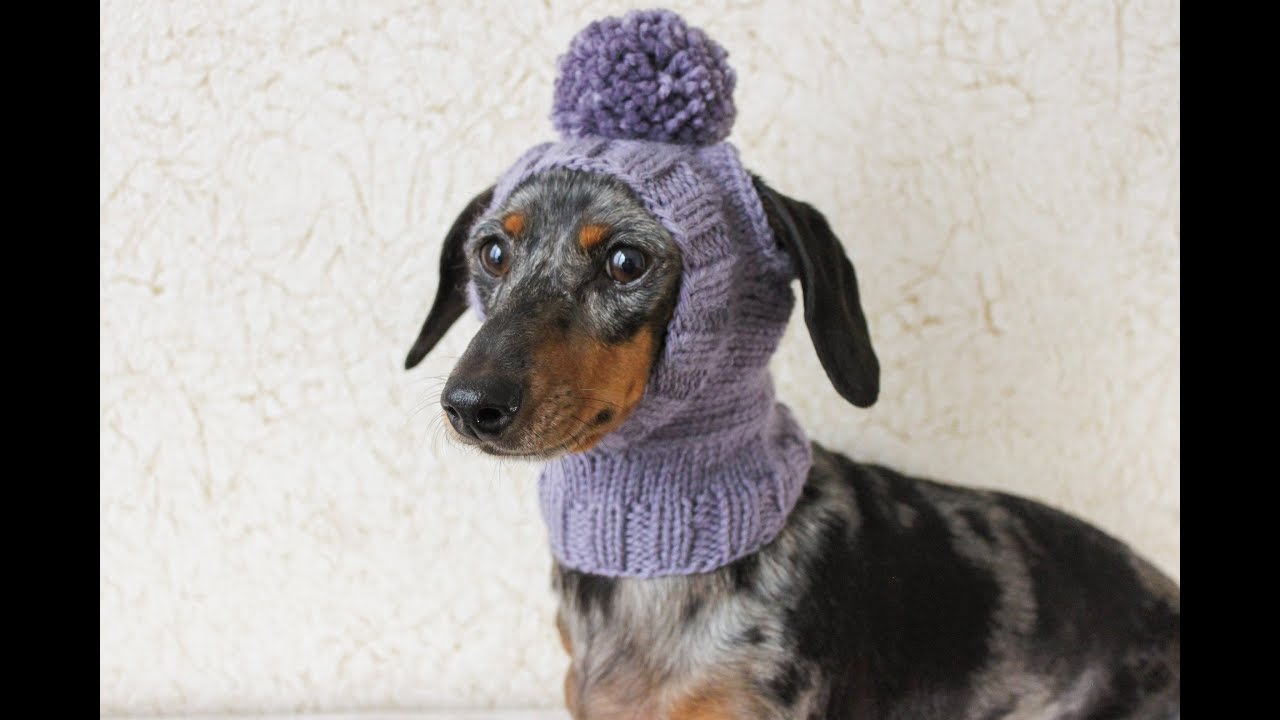 Yutone Winter Dog Hat with Ear Holes and Long Tassel,Classic Warm Pet Dog Knitted Hat for Small Medium Dogs 