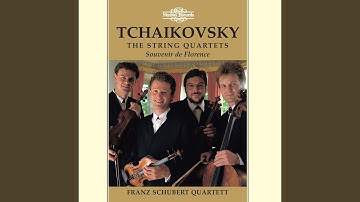 String Quartet No. 3 in E-Flat Minor, Op. 30: I. Andante Sostenuto - Allegro Moderato - Andante...