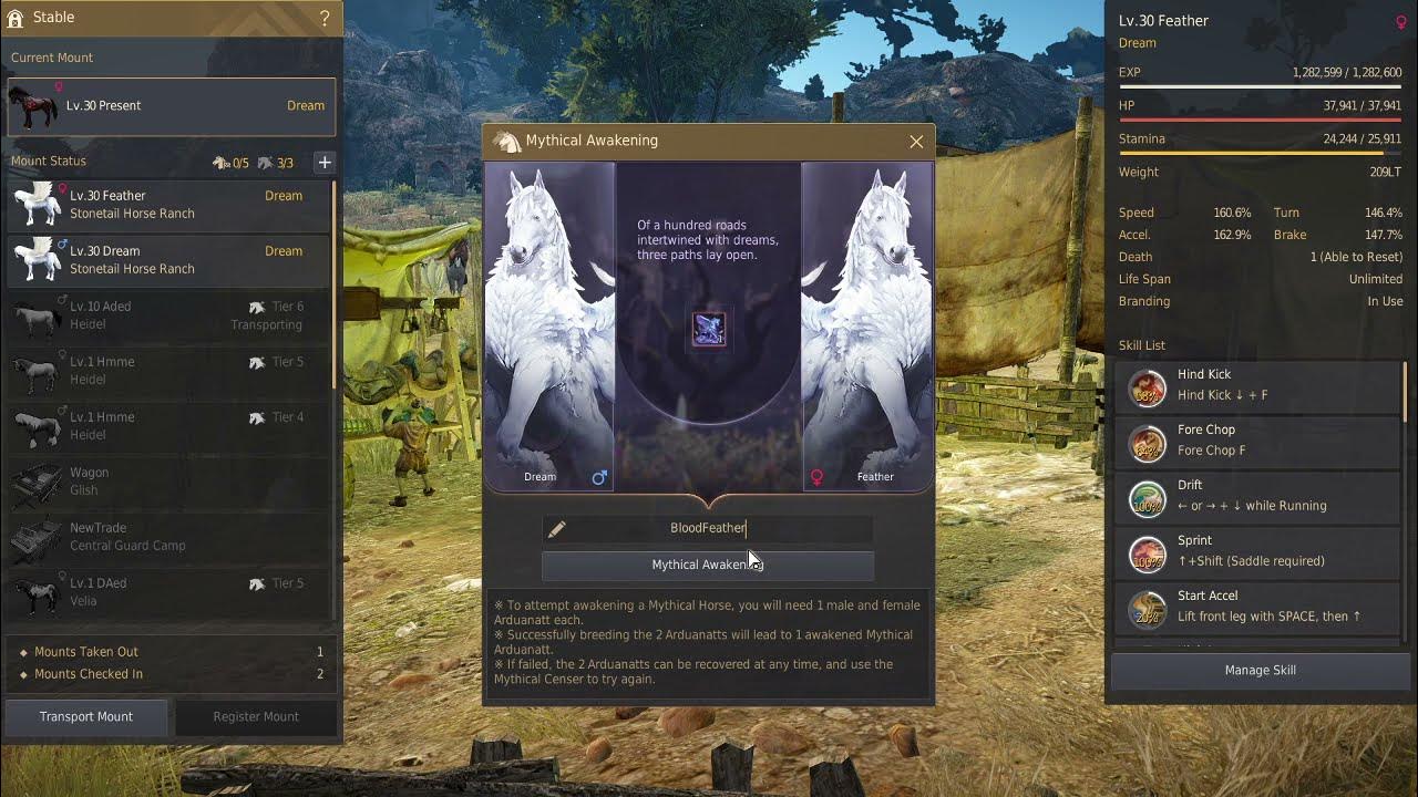 BDO T10 horse attempt YouTube