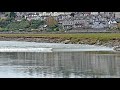Tidal Bore on the River Kent at Grange-Over-Sands