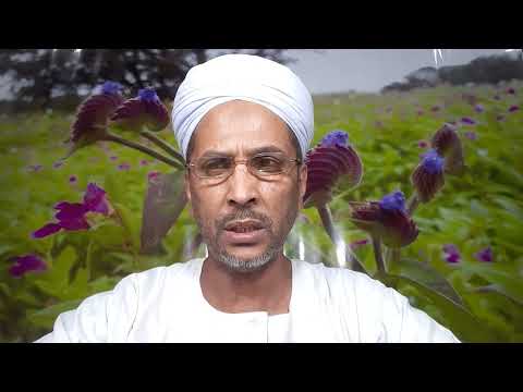 سلسلة أقرب رشدا كيف اسلم طلحة بن عبيد الله ٧٣٥