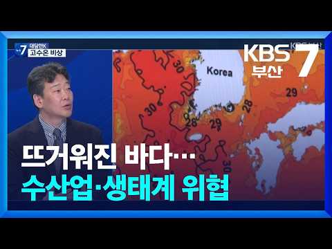 [대담한K] 뜨거워진 <strong>바다</strong>…수산업·생태계 위협 / KBS  2026.08.11.