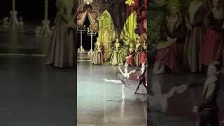 Swan Lake #ballet #tchaikovsky #swanlake #балет #лебединоеозеро #черныйлебедь #blackswan #опера