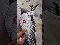 how to cut pigeon wings #pigeon#wings#kabutar #pigeonsworld7