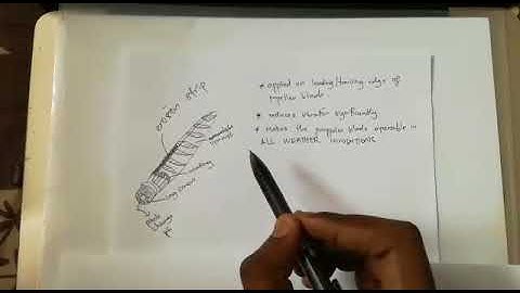 Propeller Reverse thrust and reverse blade angle