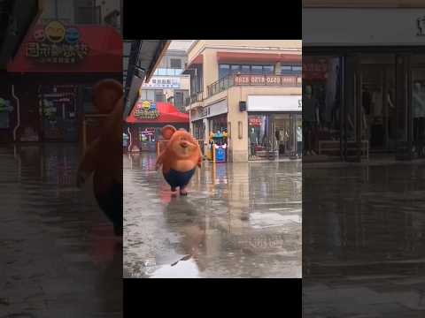 Epic funny video (laugh time) 🤣😂🤣#shorts #funnyvideo #comedyvideo #viralvideo #fails #youtubeshorts