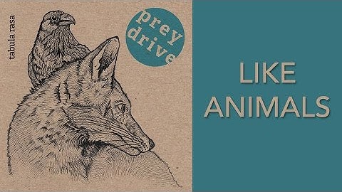 Prey Drive - Like Animals (Lyric Video) | Tabula Rasa | Alternative Rock