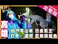 【高雄屏東】白金虱王/沖繩蝦蝦飯/壽山探洞/台灣本土黑山羊/愛河貢多拉 ｜環遊世界48小時《世界第一等》998集完整版Taiwan Full EP. 998 EngSub