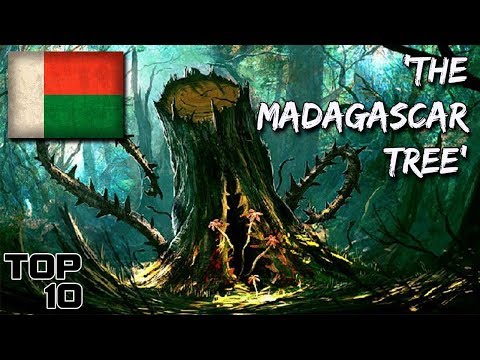 Top 10 Scary Madagascar Urban Legends