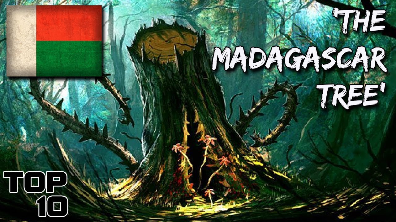 Top 10 Scary Madagascar Urban Legends