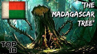 Top 10 Scary Madagascar Urban Legends