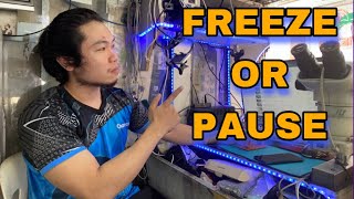 T7 Paano Mag Freeze ng video sa editing screenshot 5