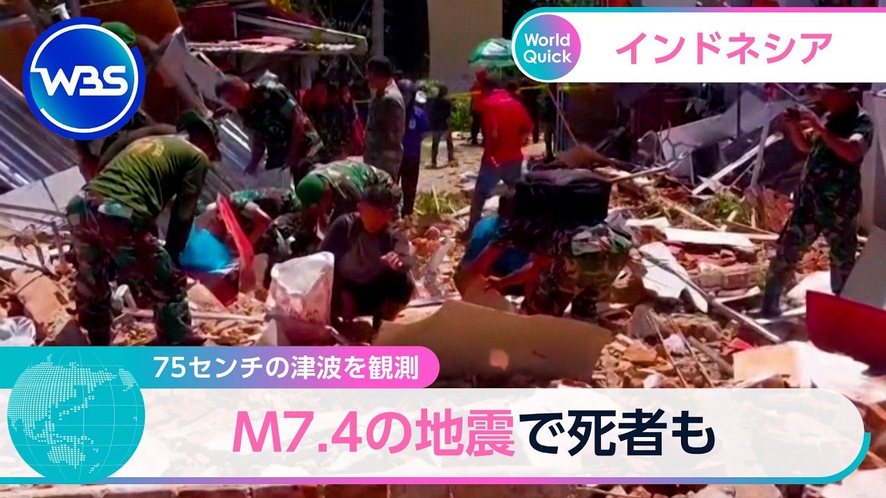A 75-centimeter tsunami was observed; the M7.4 earthquake also
