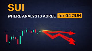 Shared view: what 5 experts predict for SUI