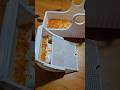 Second Desiccant Tray for SnapDryer #polydryer #snapmaker