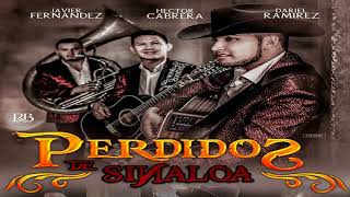Video thumbnail of "Perdidos De Sinaloa - Siempre Tuyo (Estudio 2017)"