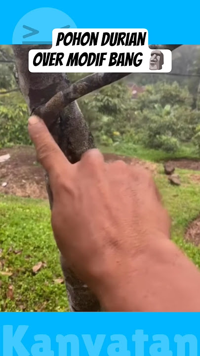 I can't imagine how it feels 🗿 #meme #shorts #memes #memesdaily